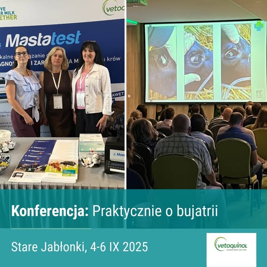 Konferencja