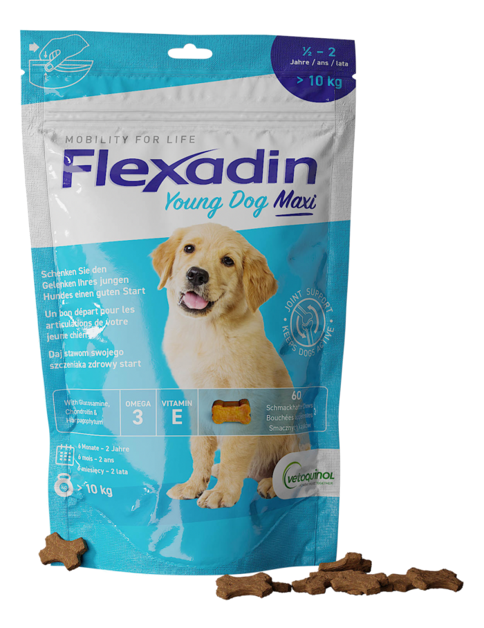 Flexadin Young Dog maxi