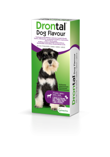dog flavour