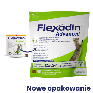 Flexadin cat