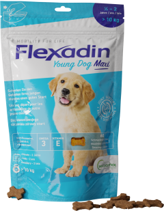 Flexadin young dog maxi
